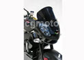 BULLE HP RSV 1000 TUONO R 2006/2009 