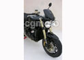 BULLE HP SPEED TRIPLE 1050 2005/2009 (VIS 5X15 NYLON+ MECHE) 